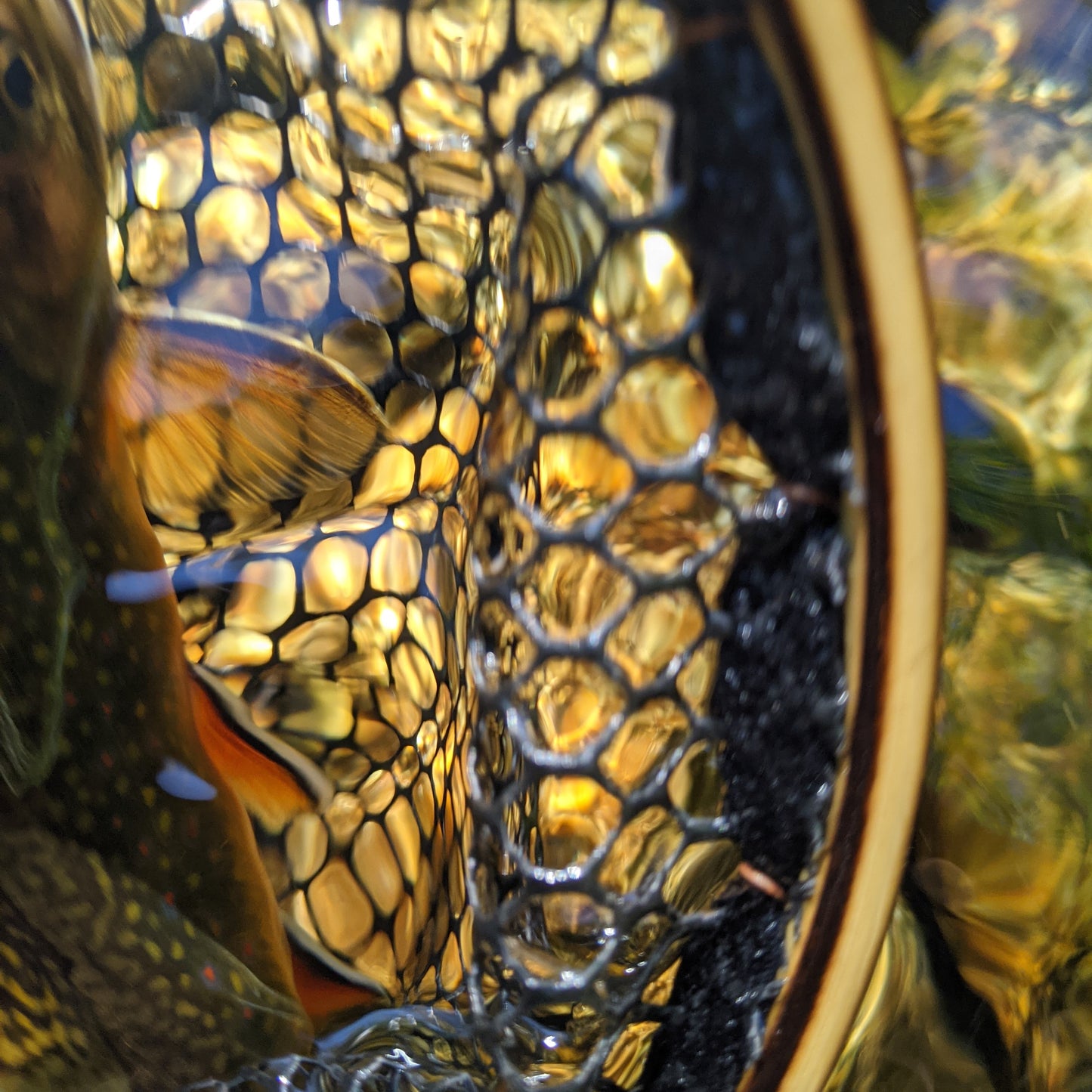 Keep & Release Net Tether - Leather + Rare Earth Magnets