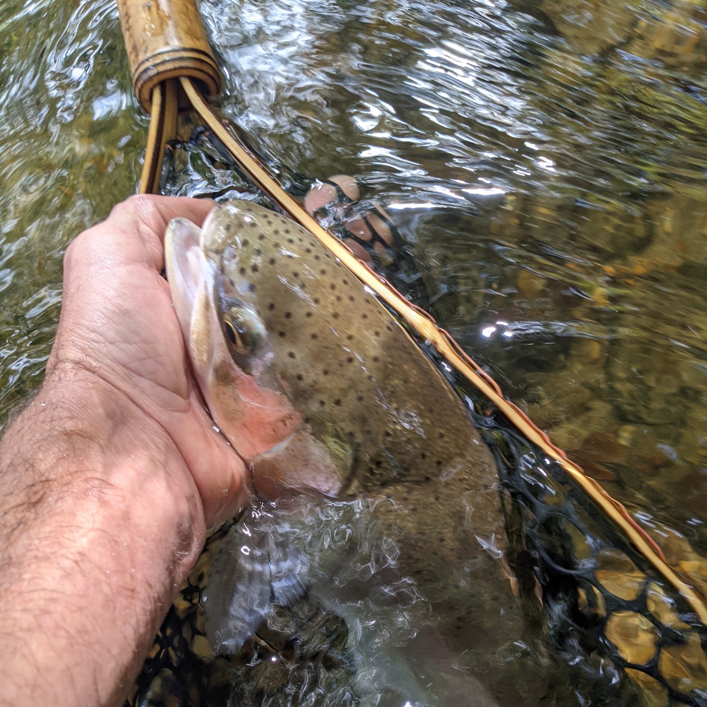 Blue Line Wide + Tether - 17" x 12" Hoop - Custom Handle Lengths