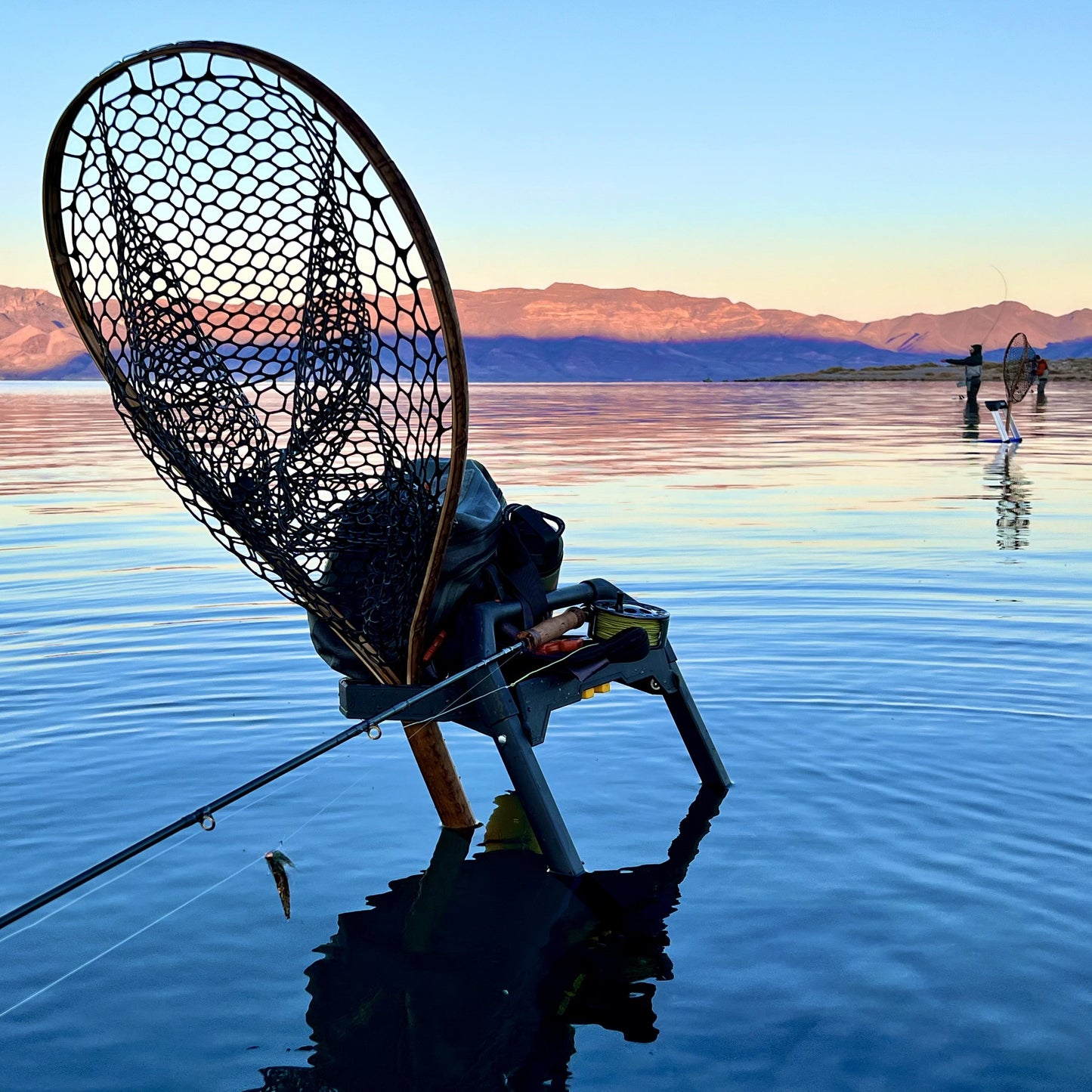 The Big Ass Net