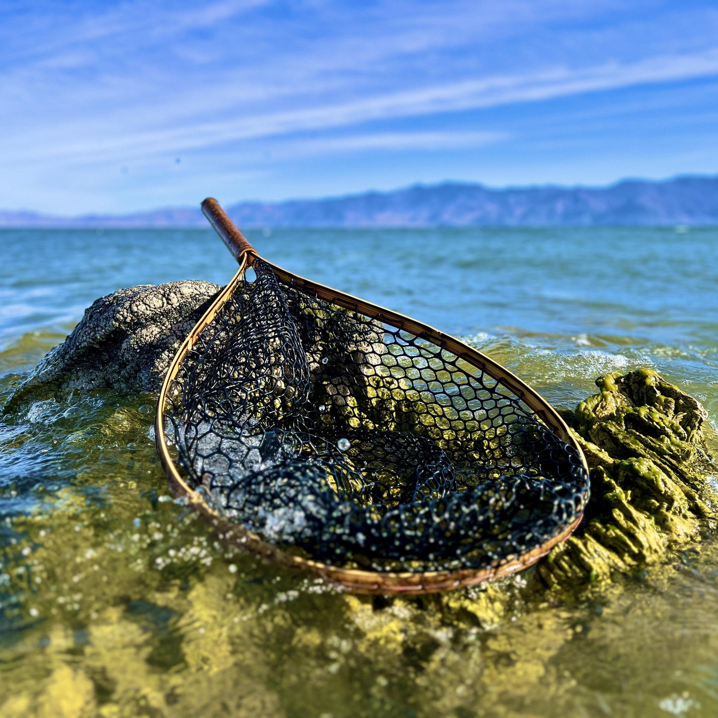 The Big Ass Net