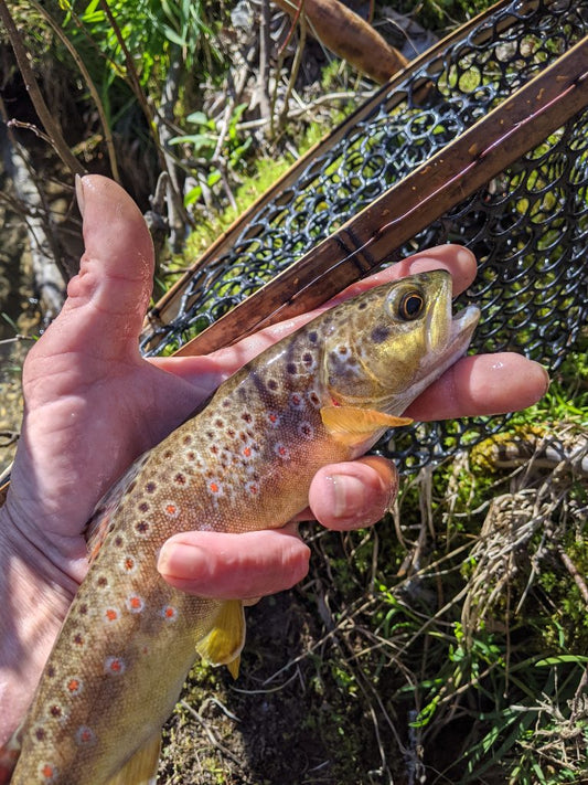 4 Big Benefits of Fly Fishing (and Why We Love it So Much!)