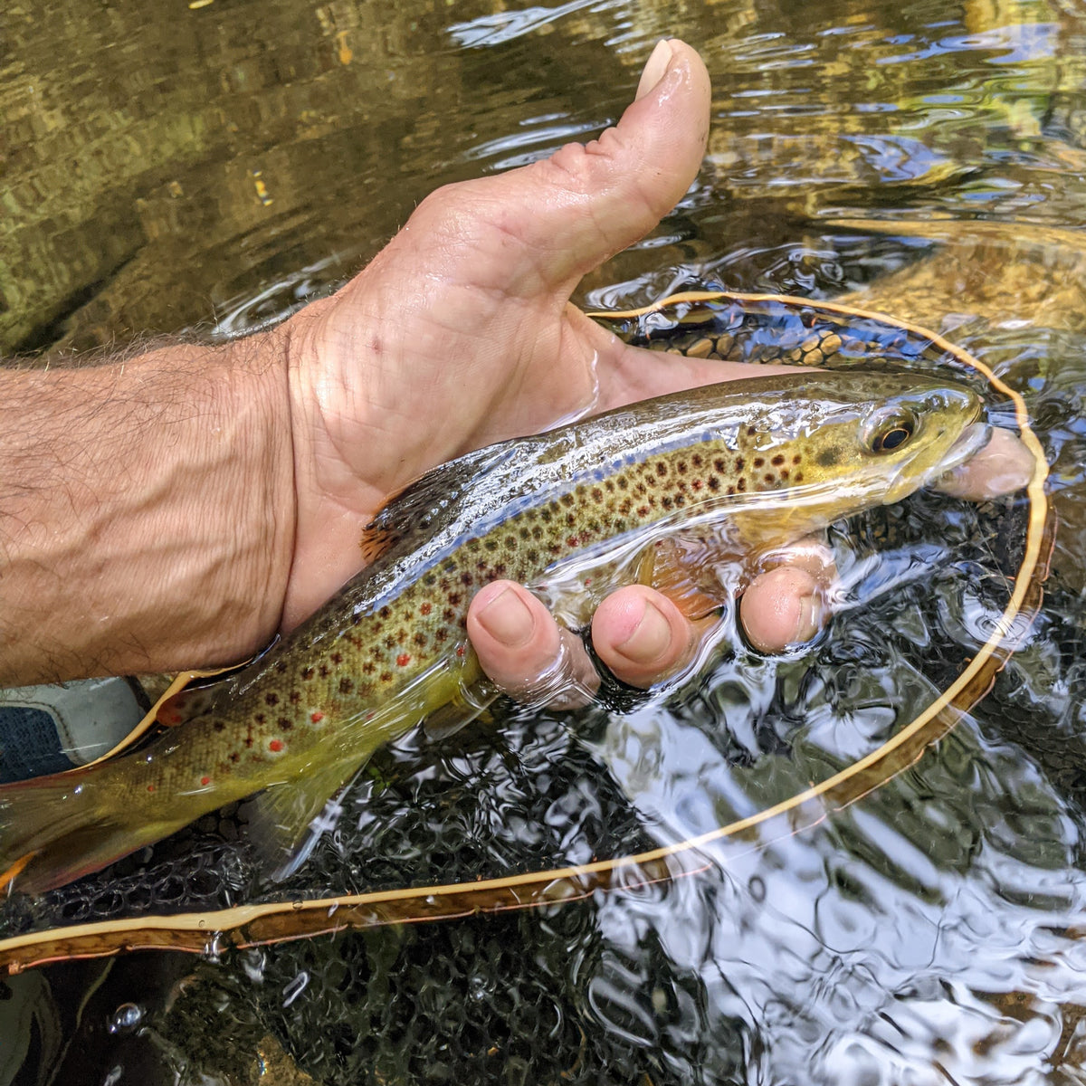 Bamboo Hand Nets – Hellbender Nets
