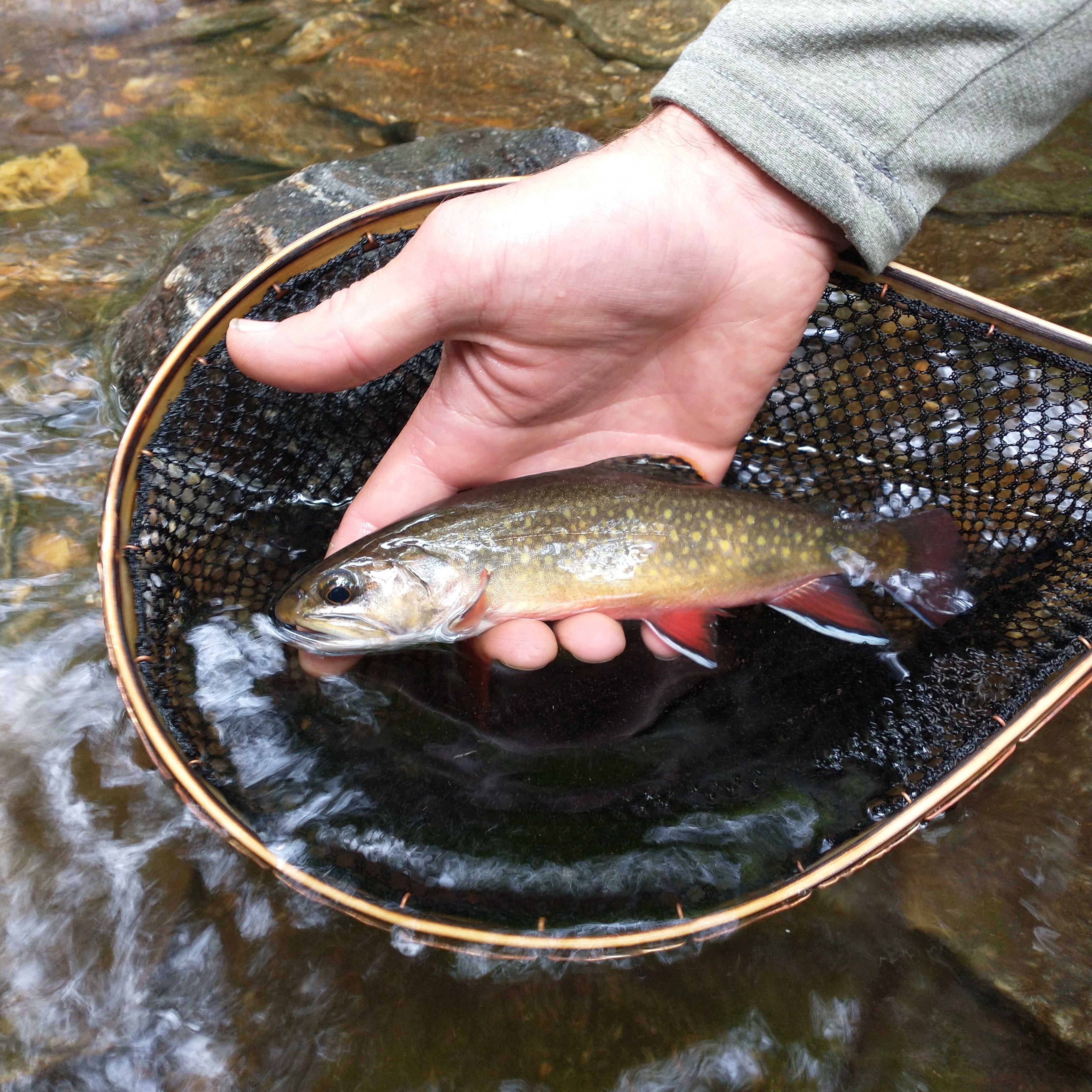 bamboo fishing netting native Upstream & Copper Fly Net Long 12"- 16" / Clear Full Rubber Deep S26050902UX5972 Bamboo Hand Nets Hellbender