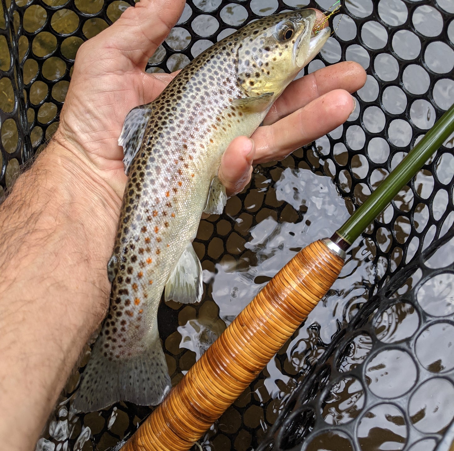 The Wagon Road Fly Rod