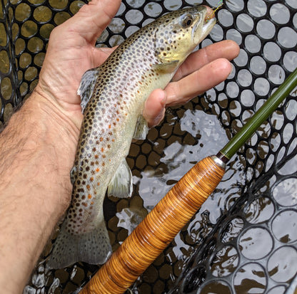 The Wagon Road Fly Rod