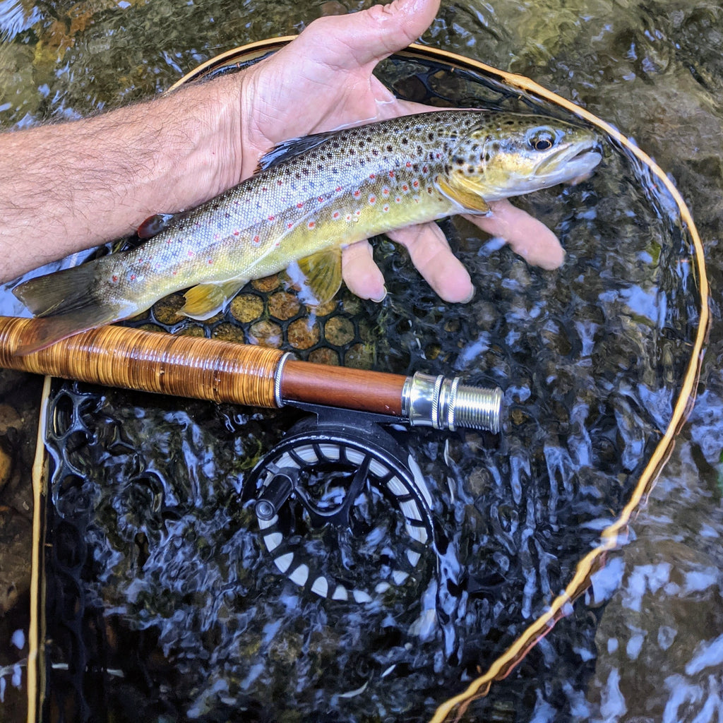 The Wagon Road Fly Rod